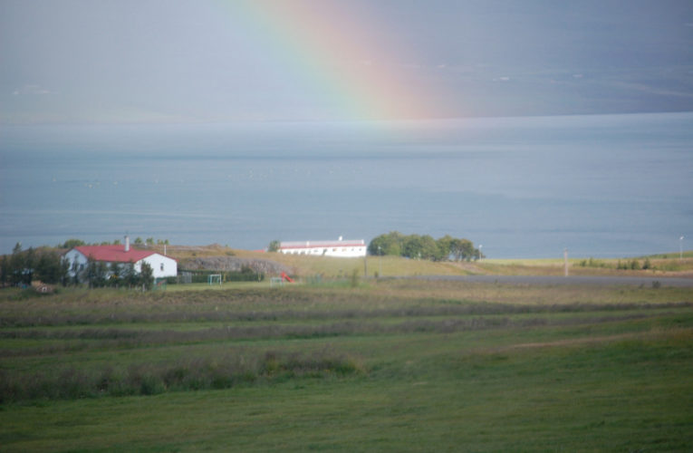 Montreal: Is he really my true Valentine? Love and PTSD.