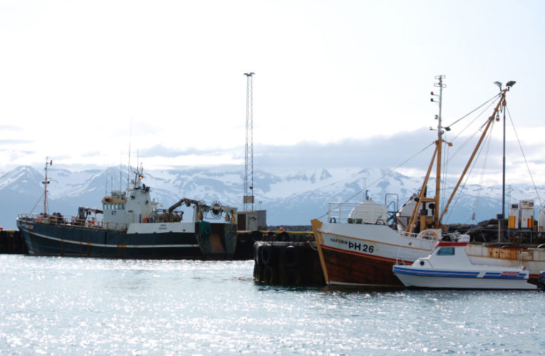 Montreal: Woman/wife/mother: PTSD + suicidal thoughts