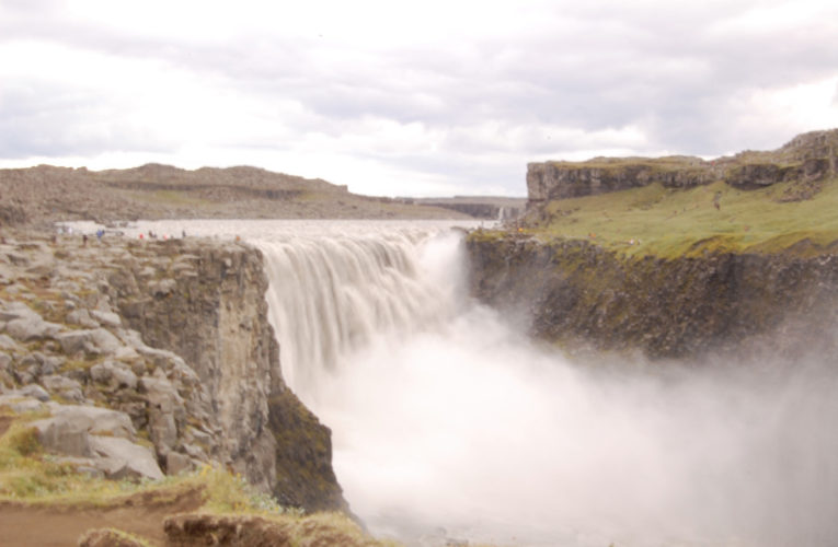 Montreal: Help! I’m a lost little amoeba in this big PTSD ecosystem