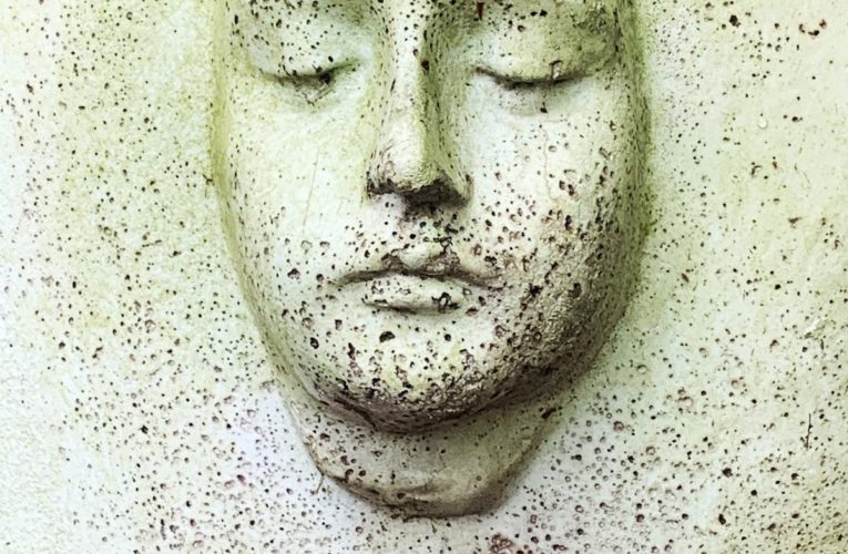 PTSD Book for Veterans and Trauma Sufferers in Montreal